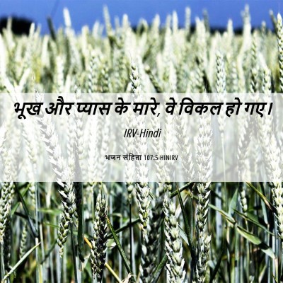Picture 06 - भजन संहिता 107:5 HINIRV - भूख और प्यास के - Bible Verse Picture