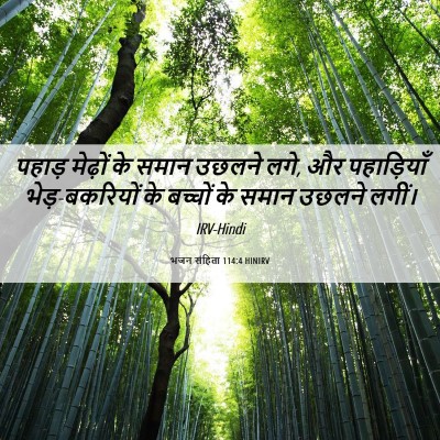 Picture 06 - भजन संहिता 114:4 HINIRV - पहाड़ मेढ़ों के - Bible Verse Picture