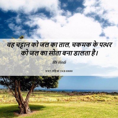 Picture 06 - भजन संहिता 114:8 HINIRV - वह चट्टान को जल का - Bible Verse Picture
