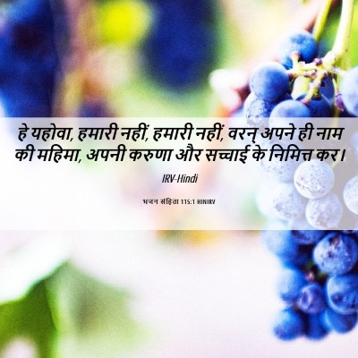 Picture 06 - भजन संहिता 115:1 HINIRV - हे यहोवा, हमारी - Bible Verse Picture
