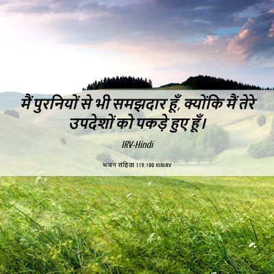 Picture 06 - भजन संहिता 119:100 HINIRV - मैं पुरनियों से भी - Bible Verse Picture