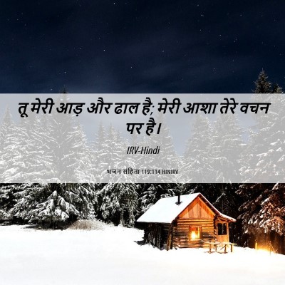 Picture 06 - भजन संहिता 119:114 HINIRV - तू मेरी आड़ और ढाल - Bible Verse Picture
