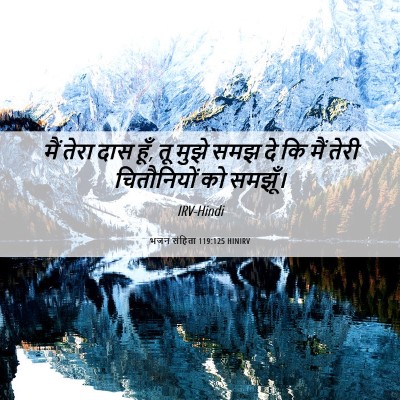 Picture 06 - भजन संहिता 119:125 HINIRV - मैं तेरा दास हूँ, - Bible Verse Picture