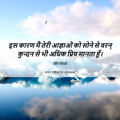 Picture 06 - भजन संहिता 119:127 HINIRV - इस कारण मैं तेरी - Bible Verse Picture