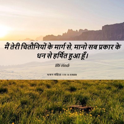 Picture 06 - भजन संहिता 119:14 HINIRV - मैं तेरी - Bible Verse Picture