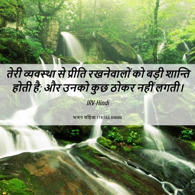 Picture 06 - भजन संहिता 119:165 HINIRV - तेरी व्यवस्था से - Bible Verse Picture