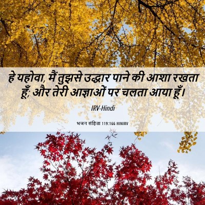 Picture 06 - भजन संहिता 119:166 HINIRV - हे यहोवा, मैं तुझसे - Bible Verse Picture