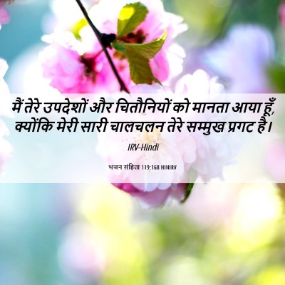 Picture 06 - भजन संहिता 119:168 HINIRV - मैं तेरे उपदेशों - Bible Verse Picture