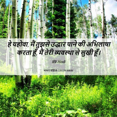 Picture 06 - भजन संहिता 119:174 HINIRV - हे यहोवा, मैं तुझसे - Bible Verse Picture