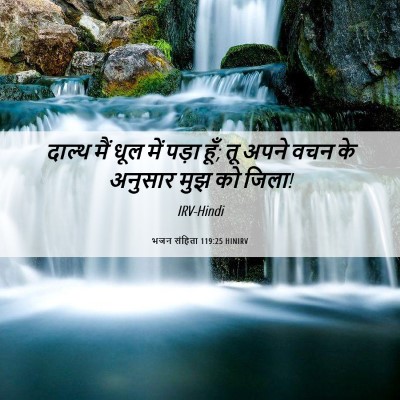 Picture 06 - भजन संहिता 119:25 HINIRV - दाल्थ मैं धूल में - Bible Verse Picture