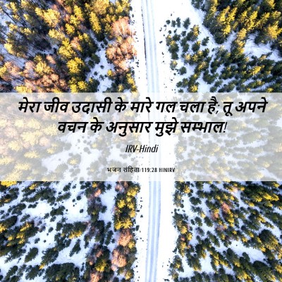 Picture 06 - भजन संहिता 119:28 HINIRV - मेरा जीव उदासी के - Bible Verse Picture
