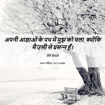 Picture 06 - भजन संहिता 119:35 HINIRV - अपनी आज्ञाओं के पथ - Bible Verse Picture
