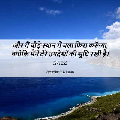 Picture 06 - भजन संहिता 119:45 HINIRV - और मैं चौड़े स्थान - Bible Verse Picture