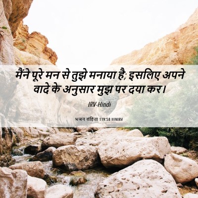 Picture 06 - भजन संहिता 119:58 HINIRV - मैंने पूरे मन से - Bible Verse Picture