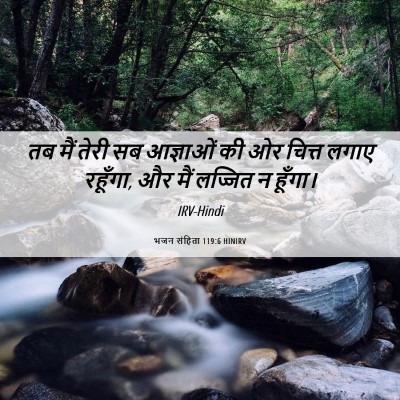 Picture 06 - भजन संहिता 119:6 HINIRV - तब मैं तेरी सब - Bible Verse Picture