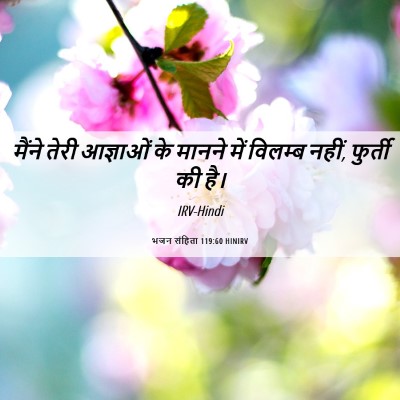 Picture 06 - भजन संहिता 119:60 HINIRV - मैंने तेरी - Bible Verse Picture