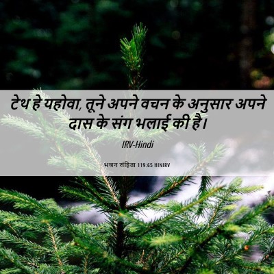 Picture 06 - भजन संहिता 119:65 HINIRV - टेथ हे यहोवा, तूने - Bible Verse Picture