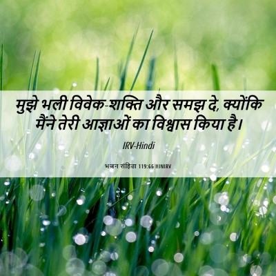 Picture 06 - भजन संहिता 119:66 HINIRV - मुझे भली - Bible Verse Picture