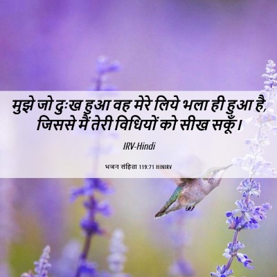 Picture 06 - भजन संहिता 119:71 HINIRV - मुझे जो दुःख हुआ वह - Bible Verse Picture
