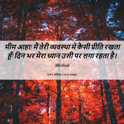 Picture 06 - भजन संहिता 119:97 HINIRV - मीम आहा! मैं तेरी - Bible Verse Picture
