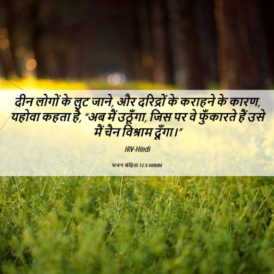 Picture 06 - भजन संहिता 12:5 HINIRV - दीन लोगों के लुट - Bible Verse Picture