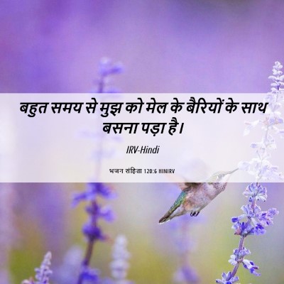 Picture 06 - भजन संहिता 120:6 HINIRV - बहुत समय से मुझ को - Bible Verse Picture