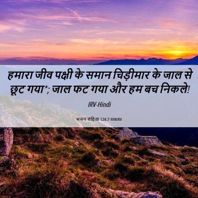 Picture 06 - भजन संहिता 124:7 HINIRV - हमारा जीव पक्षी के - Bible Verse Picture