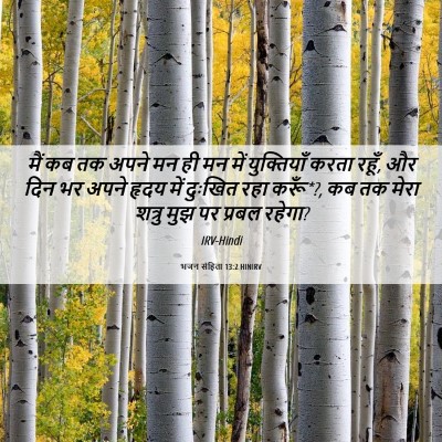 Picture 06 - भजन संहिता 13:2 HINIRV - मैं कब तक अपने मन - Bible Verse Picture
