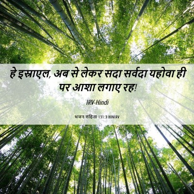 Picture 06 - भजन संहिता 131:3 HINIRV - हे इस्राएल, अब से - Bible Verse Picture