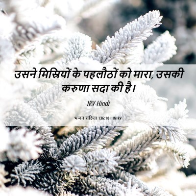 Picture 06 - भजन संहिता 136:10 HINIRV - उसने मिस्रियों के - Bible Verse Picture