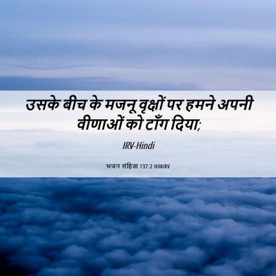 Picture 06 - भजन संहिता 137:2 HINIRV - उसके बीच के मजनू - Bible Verse Picture