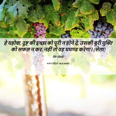Picture 06 - भजन संहिता 140:8 HINIRV - हे यहोवा, दुष्ट की - Bible Verse Picture