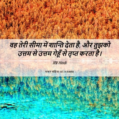 Picture 06 - भजन संहिता 147:14 HINIRV - वह तेरी सीमा में - Bible Verse Picture