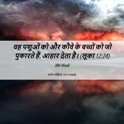 Picture 06 - भजन संहिता 147:9 HINIRV - वह पशुओं को और कौवे - Bible Verse Picture