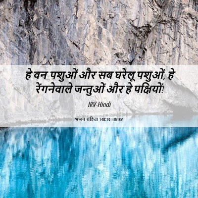 Picture 06 - भजन संहिता 148:10 HINIRV - हे वन-पशुओं और सब - Bible Verse Picture