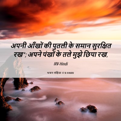 Picture 06 - भजन संहिता 17:8 HINIRV - अपनी आँखों की - Bible Verse Picture