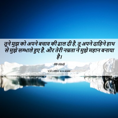 Picture 06 - भजन संहिता 18:35 HINIRV - तूने मुझ को अपने - Bible Verse Picture