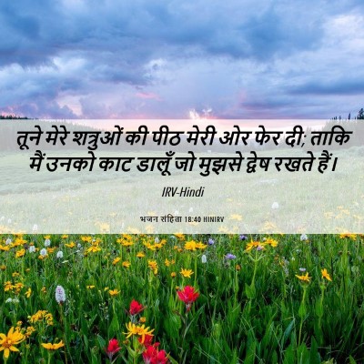 Picture 06 - भजन संहिता 18:40 HINIRV - तूने मेरे शत्रुओं - Bible Verse Picture