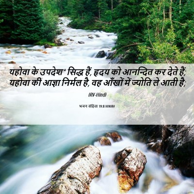 Picture 06 - भजन संहिता 19:8 HINIRV - यहोवा के उपदेश* - Bible Verse Picture
