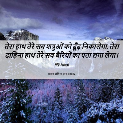 Picture 06 - भजन संहिता 21:8 HINIRV - तेरा हाथ तेरे सब - Bible Verse Picture