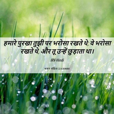 Picture 06 - भजन संहिता 22:4 HINIRV - हमारे पुरखा तुझी - Bible Verse Picture