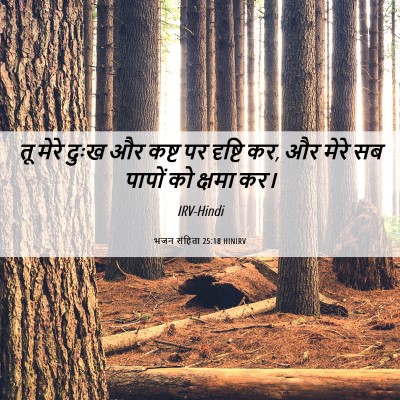 Picture 06 - भजन संहिता 25:18 HINIRV - तू मेरे दुःख और - Bible Verse Picture