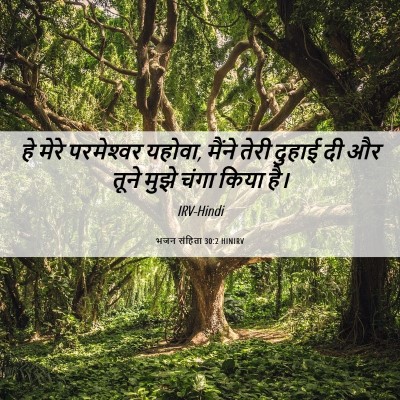 Picture 06 - भजन संहिता 30:2 HINIRV - हे मेरे परमेश्‍वर - Bible Verse Picture