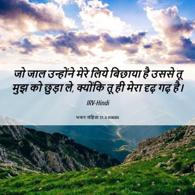 Picture 06 - भजन संहिता 31:4 HINIRV - जो जाल उन्होंने - Bible Verse Picture