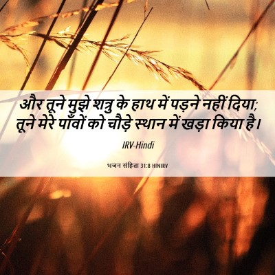 Picture 06 - भजन संहिता 31:8 HINIRV - और तूने मुझे शत्रु - Bible Verse Picture
