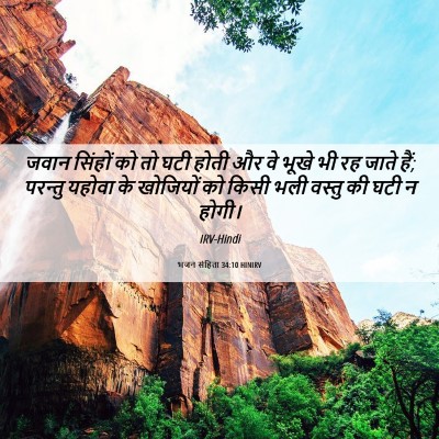Picture 06 - भजन संहिता 34:10 HINIRV - जवान सिंहों को तो - Bible Verse Picture