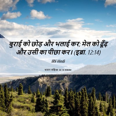 Picture 06 - भजन संहिता 34:14 HINIRV - बुराई को छोड़ और - Bible Verse Picture