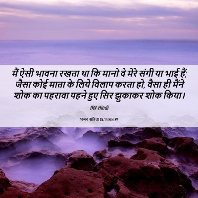 Picture 06 - भजन संहिता 35:14 HINIRV - मैं ऐसी भावना रखता - Bible Verse Picture