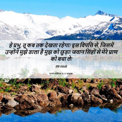 Picture 06 - भजन संहिता 35:17 HINIRV - हे प्रभु, तू कब तक - Bible Verse Picture