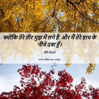Picture 06 - भजन संहिता 38:2 HINIRV - क्योंकि तेरे तीर - Bible Verse Picture